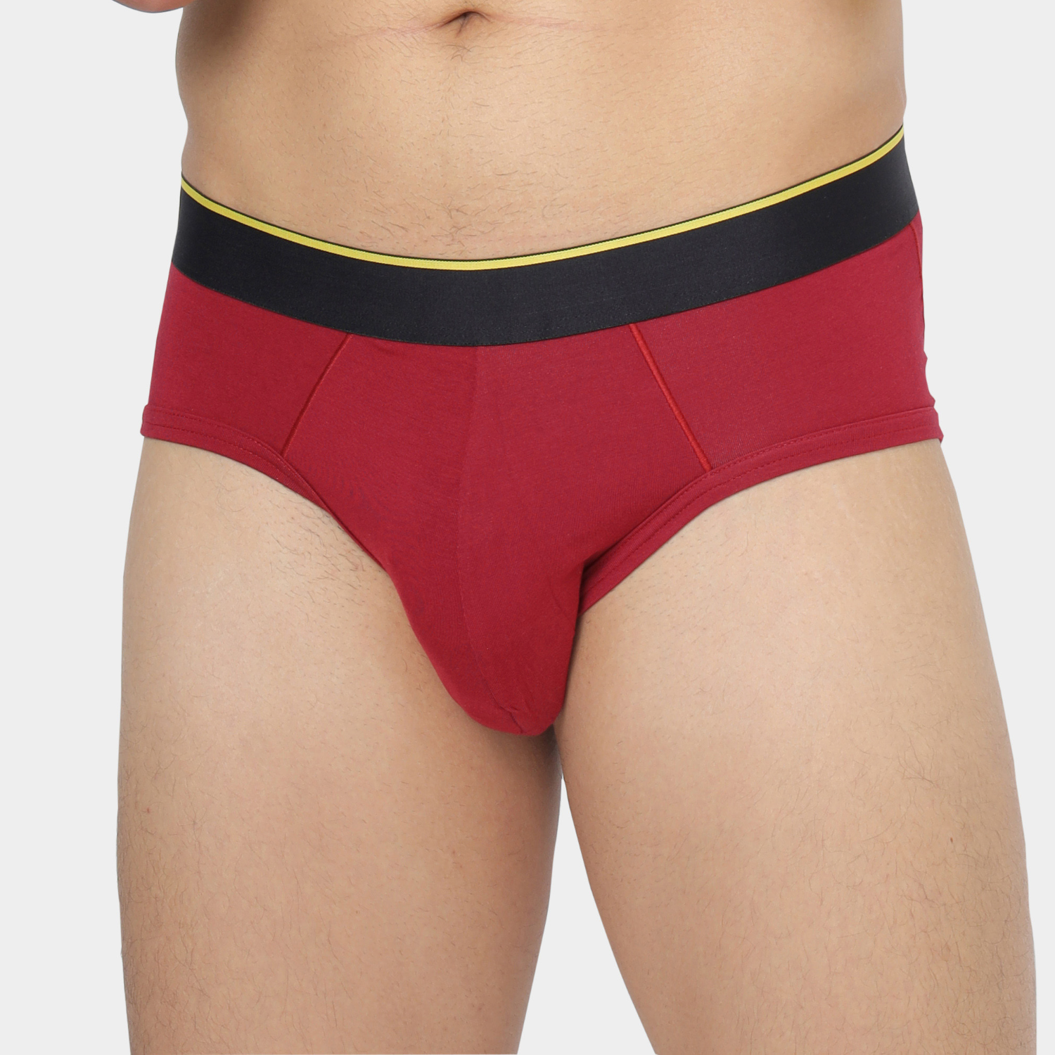 Modal Brief - Gelada
