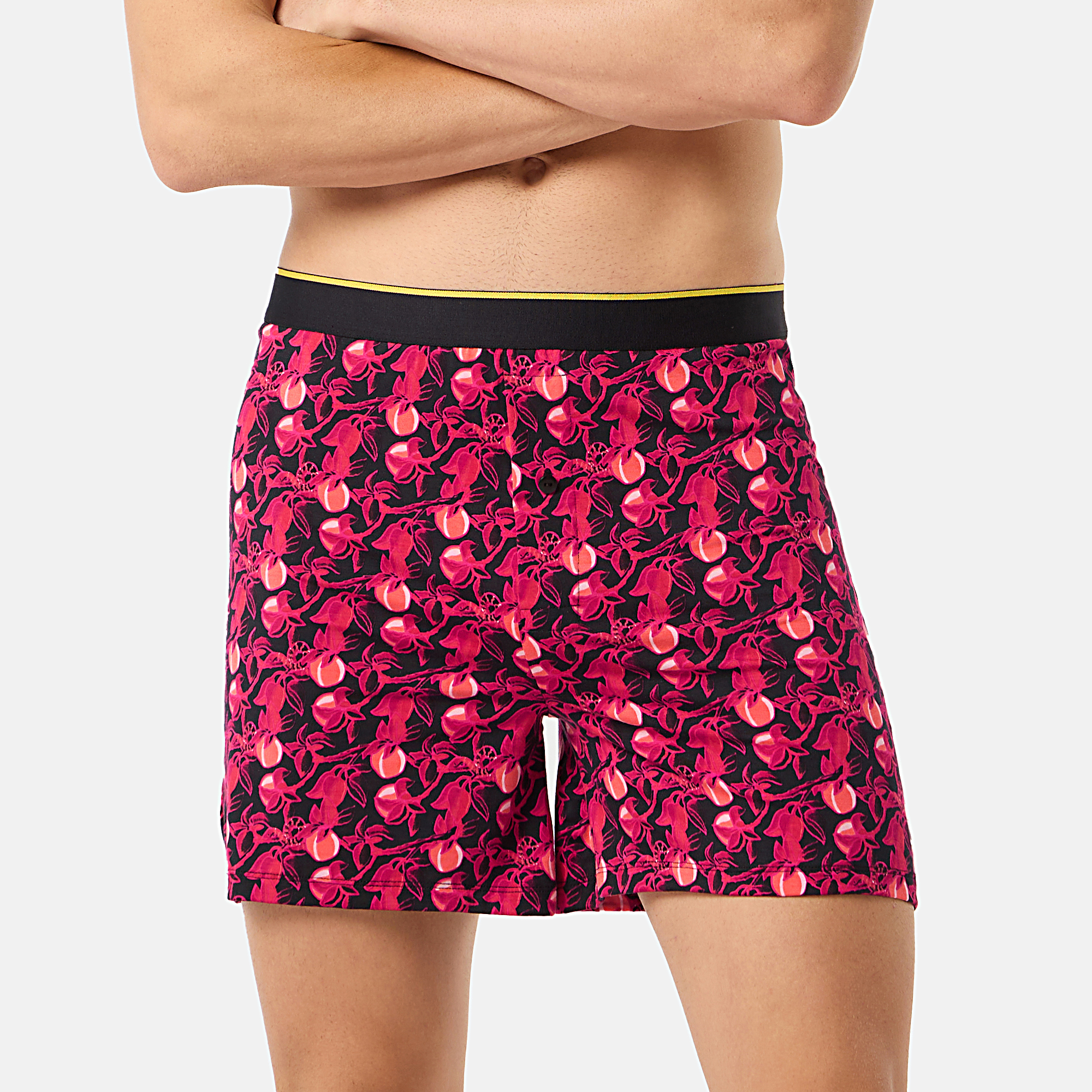 Modal Boxers - Garden of Tease