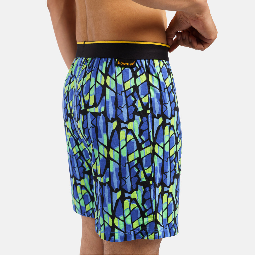 Bummer Soft Modal Boxers Paradice Back