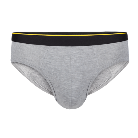 Briefs