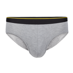 Briefs