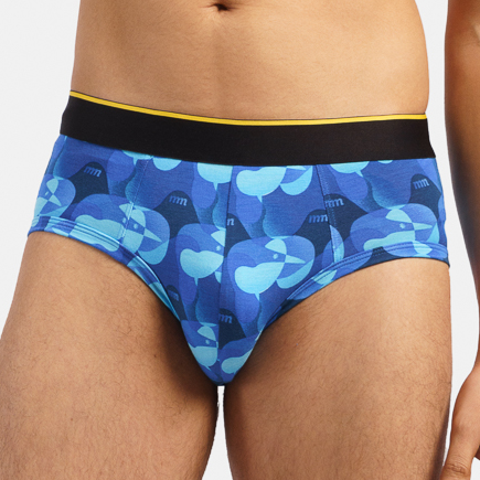 Modal Stretch Brief - Nosy