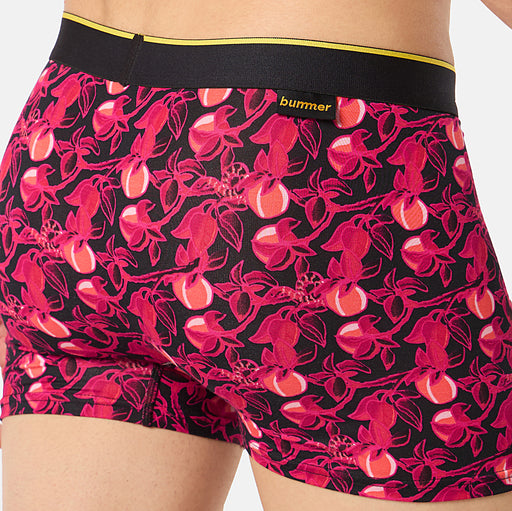 Modal Trunks - Garden of Tease