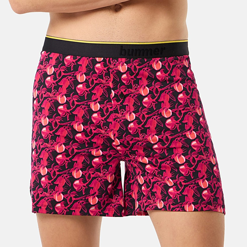 Boxers - Garden of Tease